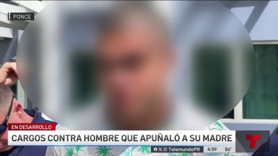 Joven admite haber apuñalado a su madre