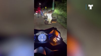 Captado en video: hombre resulta herido tras ataque de caimán