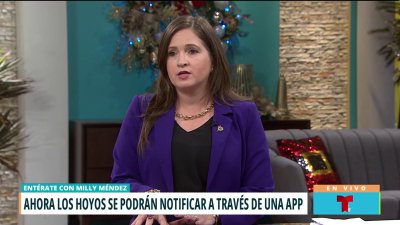 Podrás reportar los hoyos e incidentes a través de Cesco Digital