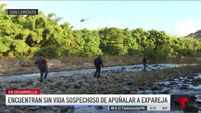 Hallan sin vida a sospechoso de apuñalar a su expareja