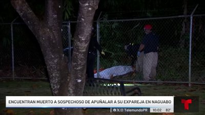 Hallan sin vida a sospechoso de apuñalar a su expareja