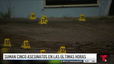 Reportan cinco asesinatos en 24 horas