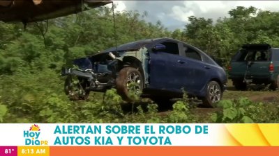 Policía alerta sobre aumento de robos de vehículos KIA y Toyota