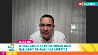 Activan protocolo en Juana Díaz ante sospecha de otro caso de gripe aviar