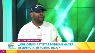 Artistas que podrían hacer una residencia en Puerto Rico