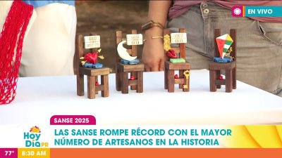 Este año las SanSe tienen la mayor cantidad de artesanos en su historia