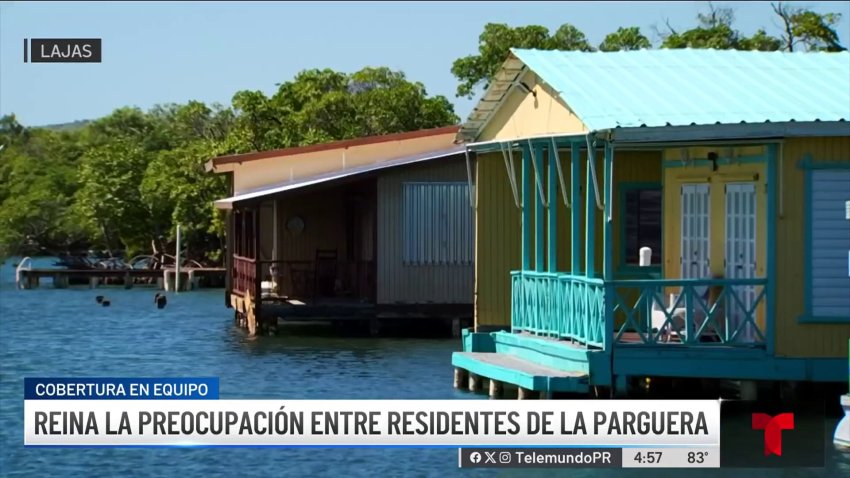 Preocupados residentes de la Parguera por medida de Jenniffer González
