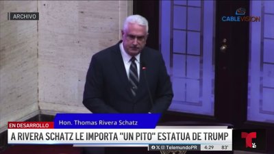 A Rivera Schatz le importa un “soberano pito” la estatua de Trump