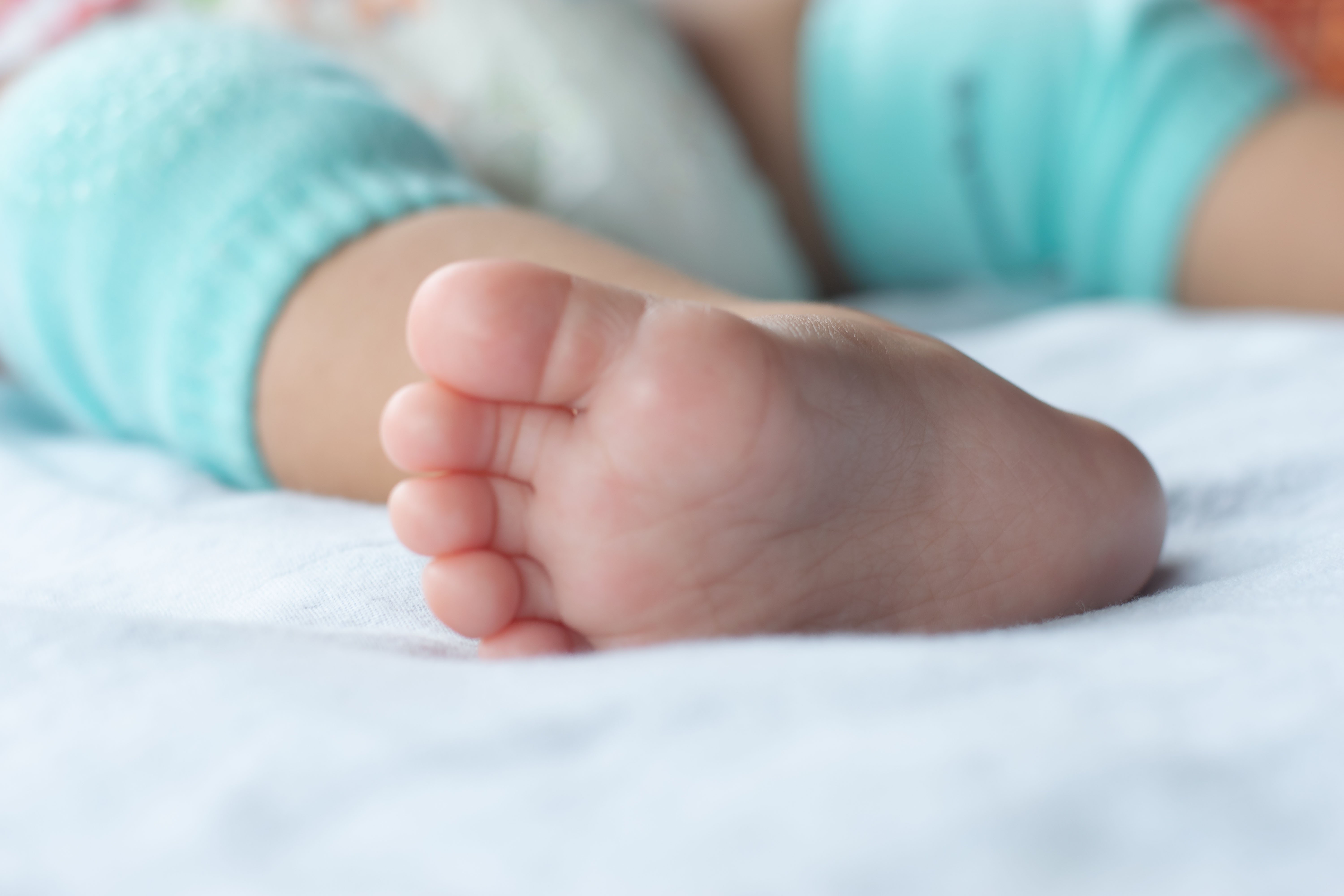 Imagen de la cobertura de: Madre subrogada viaja a Texas para dar a luz tras presunta presión para abortar