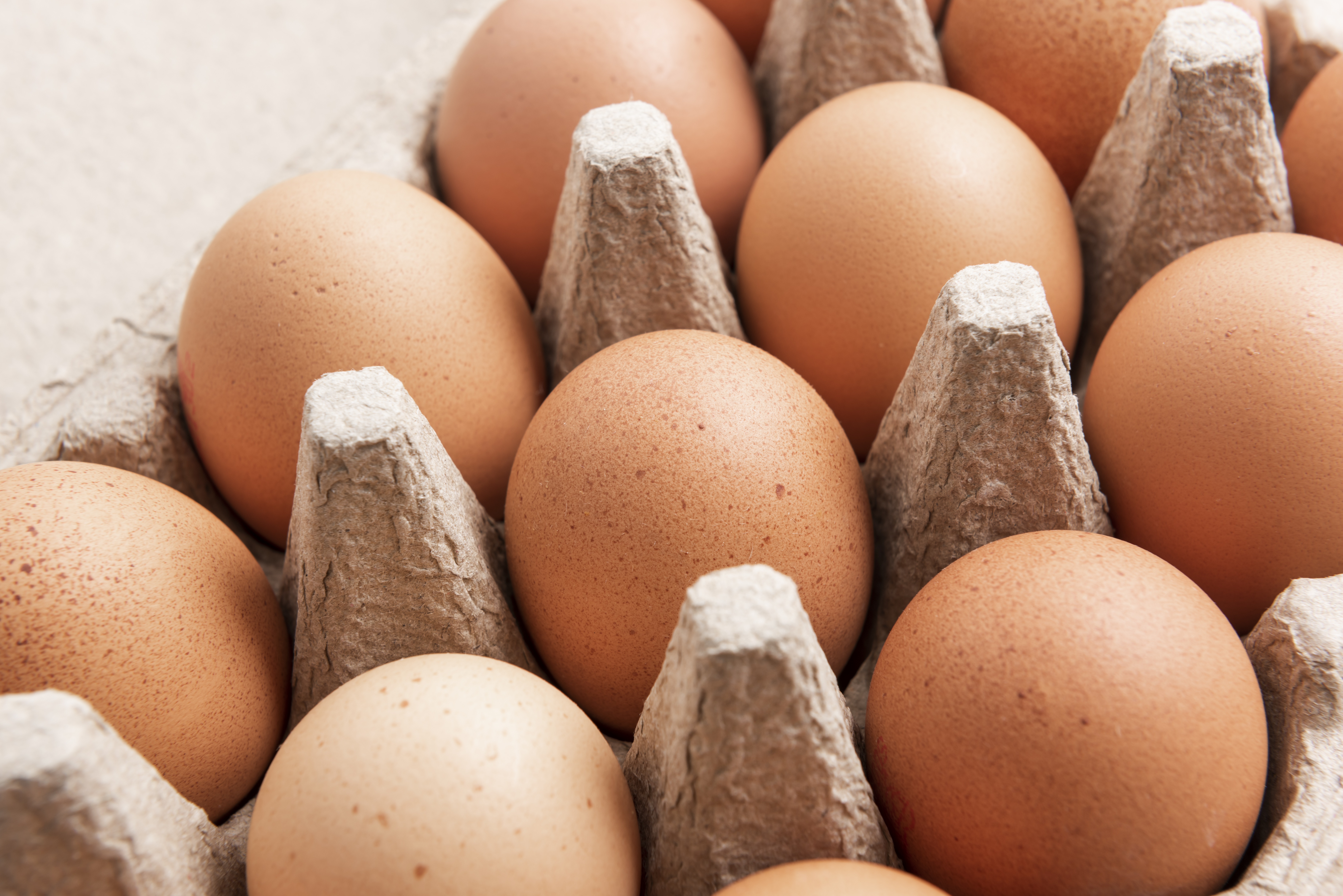 Productores de huevos pagarán millones para resolver demandas por aumento de precios