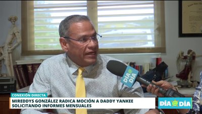 Mireddys solicita informes mensuales a Daddy Yankee