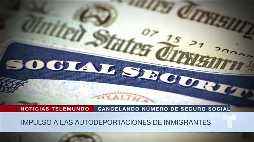Trump cancelaría números de Seguro Social a ciertos inmigrantes