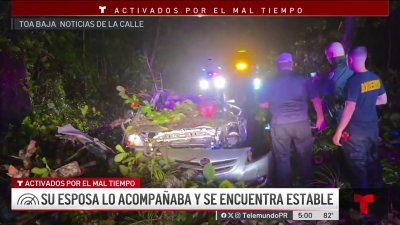 Fuertes lluvias: hombre muere tras caer árbol sobre su carro