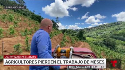 Agricultores reportan grandes pérdidas por fuertes lluvias