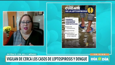 Investigan posible caso de leptospiroris tras recientes inundaciones