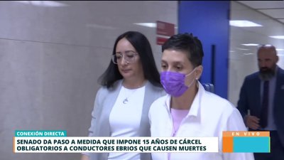 Dan paso a medida que impone 15 años de cárcel a conductores ebrios que causen muertes