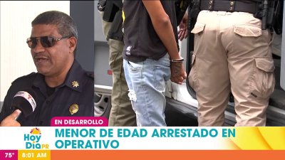 Más de 15 arrestados en operativo contra el narcotráfico en varios municipios