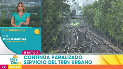 ¿Cuándo se podrá restablecer el servicio del Tren Urbano?