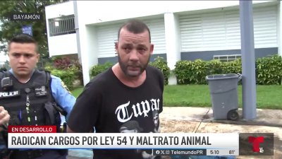 A la cárcel imputado de matar a perrito chihuahua de su pareja