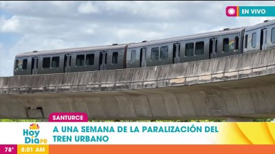 A una semana de la avería del Tren Urbano: ¿cuándo arranca?