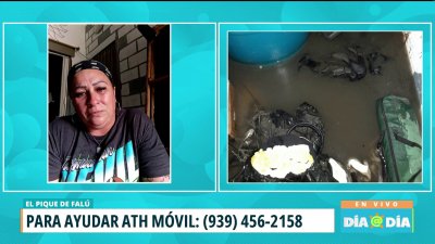 Comunidad en Arecibo vive un calvario por desbordamiento de aguas usadas