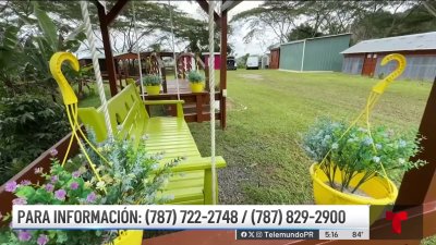 Recaban agricultores tener al día sus seguros por la temporada de huracanes