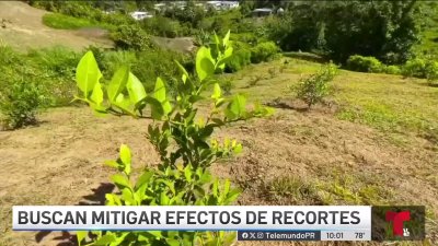 Agricultores enfrentan recorte millonario en fondos federales