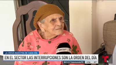 No les resuelven: una raíz sostiene poste de luz en comunidad de Bayamón