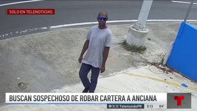 Indignación: buscan a hombre que le arrebató cartera a adulta mayor