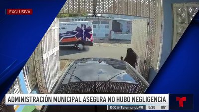 Captado en video: ambulancia arrolla a perrita en San Juan