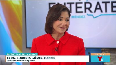 Fortalecer la fiscalía entre las prioridades de la designada secretaria de Justicia