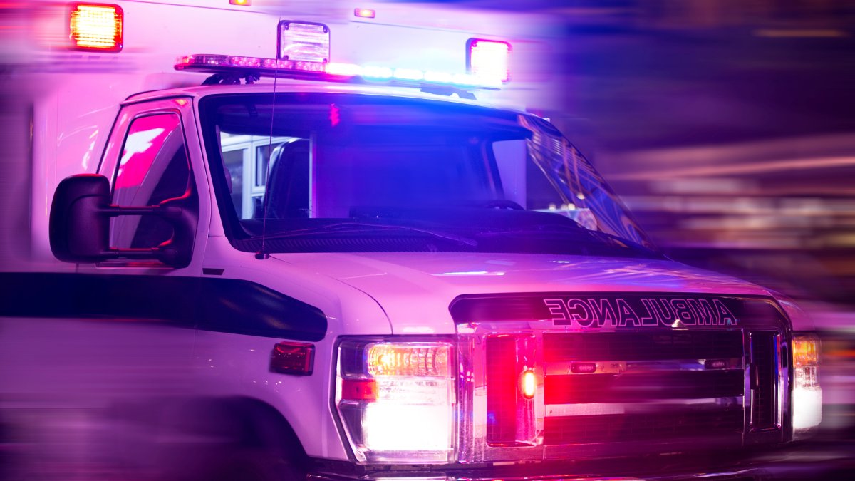 Balacera en residencial de Mayagüez deja un muerto, un herido y un caballo sin vida
