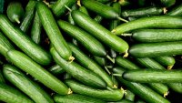 Pepinos