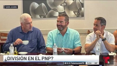 Miguel Romero asegura que no hay división en el PNP