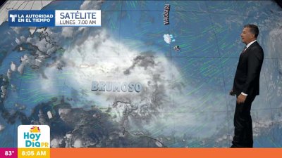 Cuidado alérgicos: la bruma sigue intensa