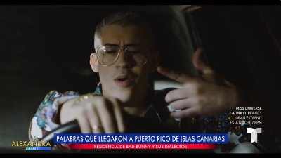 Bad Bunny y el uso de palabras canarias en sus canciones