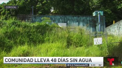 Desesperación en Corozal: comunidad lleva más de un mes sin agua