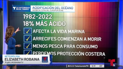 Pronóstico del tiempo