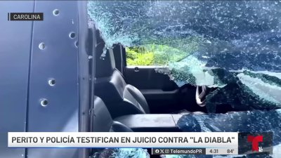 Testimonio confirma que una sola persona asesinó a “El Ministro”