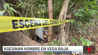 Hombre asesinado en Vega Baja cargaba formulario de citación al tribunal
