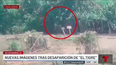 Nuevas imágenes de adulto mayor desaparecido en Manatí