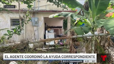 Brigada de confinados remodelan hogar de adulta mayor en Caguas