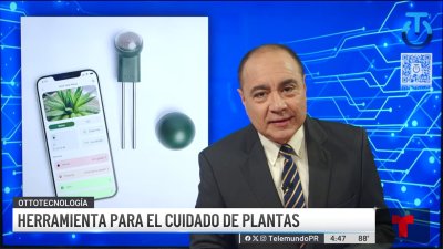 Herramienta para el cuidado de plantas