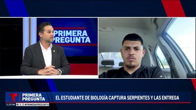 Primera Pregunta: DRNA crea unidad para capturar animales exóticos