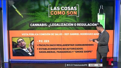 Cannabis: ¿legalización o regulación?