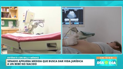 Choque por medida que busca dar vida jurídica a un feto