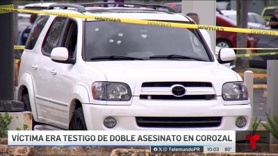 Menores presenciaron el asesinato de su madre en Toa Alta