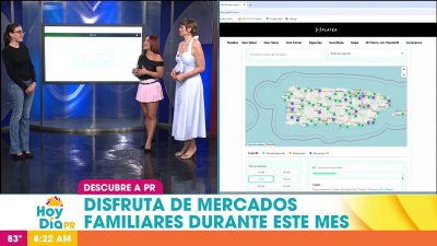 Guía de mercados familiares a visitar alrededor de Puerto Rico