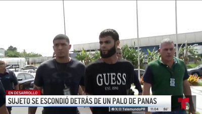 Sospechoso de “carjacking” brincó de casa en casa intentando escapar