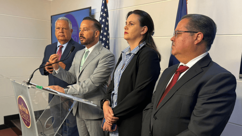Delegación del PPD.
